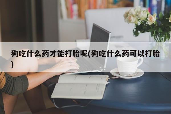 推荐个卖打胎药的微信狗吃什么药才能打胎呢(狗吃什么药可以打胎)