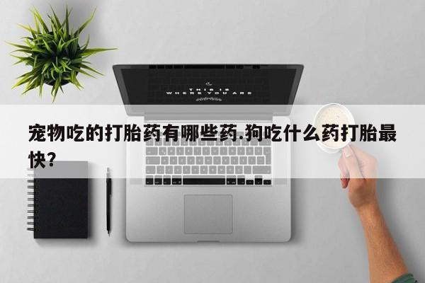 推荐个卖打胎药的微信宠物吃的打胎药有哪些药.狗吃什么药打胎最快？